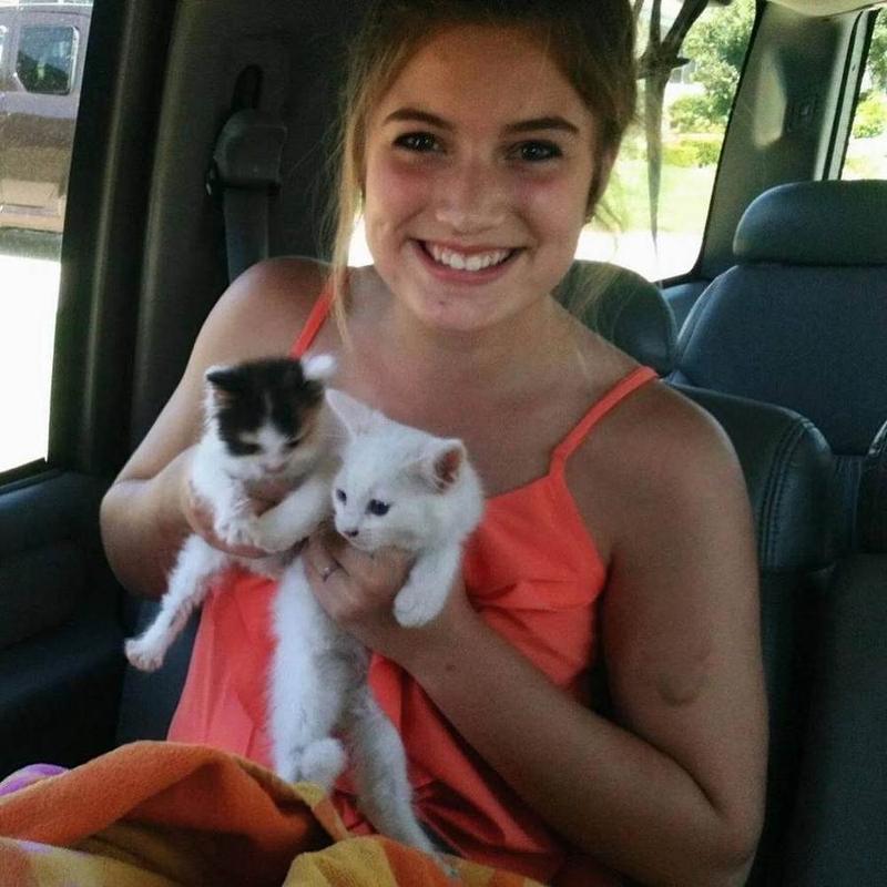 A Bella Paws Co. client pet in Orange County