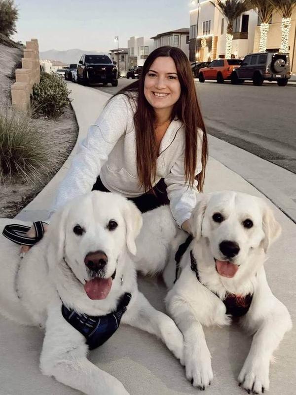 A Bella Paws Co. client pet in Orange County