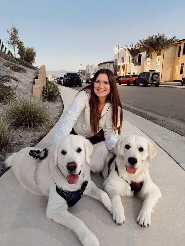 A Bella Paws Co. client pet in Orange County
